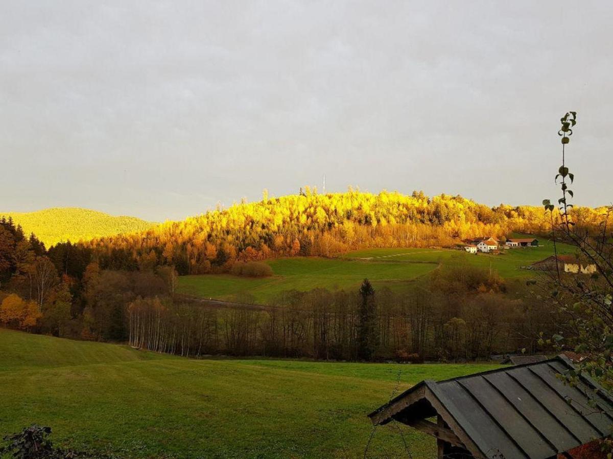 Apartamento Haus am Osterbrünnl Ruhmannsfelden Exterior foto